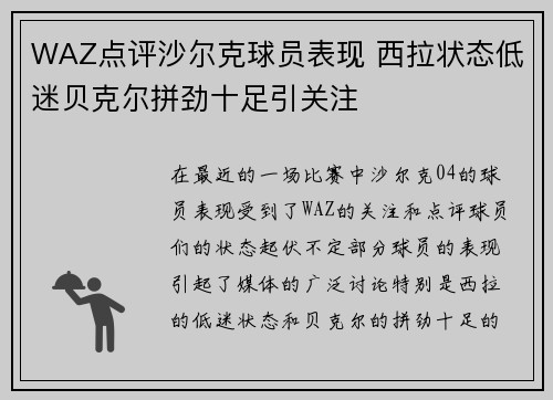 WAZ点评沙尔克球员表现 西拉状态低迷贝克尔拼劲十足引关注